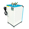 BOS3-3 Elektrische verwarming Stoomgenerator Stoomketel Handmatig bediend 3kw